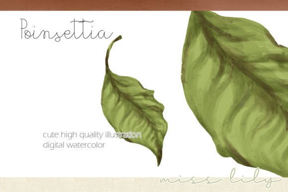 Christmas Leaf Illustrations for Festive Blog Graphics